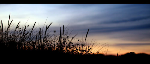 Les dunes